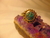 Anillo Alpaca Malaquita Natural