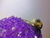 Anillo Alpaca Onix Natural - comprar online
