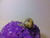 Anillo Alpaca Onix Natural en internet