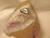 Anillo Alpaca Onix Natural