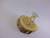 Anillo Ajustable Plata 925 Piedra Luna Natural