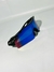 Oakley Radar® EV Path® - Looney Imports