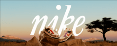 Banner da categoria AIR FORCE 1 