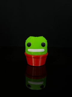 Cactus - Zona 3D