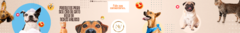Banner da categoria  Pets