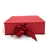 Caixa de Presente DOBRAVEL 20x20x10 Livro