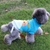 Roupas quentes de inverno para cães pequenos, Jaqueta para cães Roupas para gatos na internet