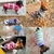 Roupas quentes de inverno para cães pequenos, Jaqueta para cães Roupas para gatos na internet