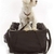 Bolsa de bicicleta Pet - comprar online