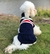 Roupas quentes de inverno para cães pequenos, Jaqueta para cães Roupas para gatos - Pet Style