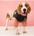 Jaqueta resistente ao frio para cães pequenos e médios, roupas engrossadas - loja online