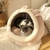 Cama removível e lavável para gato do sono profundo, Cama dos desenho - comprar online