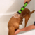 Pulverizador bocal mangueira Ajustável de alta pressão - Pet Style