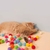 Imagem do Arma de Pompons