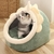 Cama removível e lavável para gato do sono profundo, Cama dos desenho na internet
