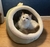 Imagem do Cama removível e lavável para gato do sono profundo, Cama dos desenho