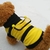 Bee-Pet Fleece Hoodie para cães e gatos, Casaco de cachorro, Vestuário, Traje