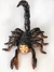 Híbrida Escorpiana Nata - comprar online
