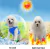COLETE REFRIGERADO PARA CACHORROS PEQUENOS, MÉDIOS E GRANDES, CASACO COOLER - VivaPet - Roupas Pós Cirúrgicas