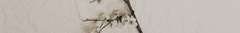 Banner de la categoría Ponchos