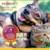 Kit 2x Antipulgas Bravecto Original De 10 A 20 Kg na internet