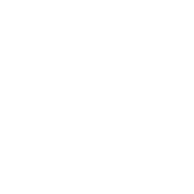 The Butcher Carnes