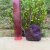 Purpurita - comprar online
