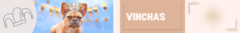Banner de la categoría Vinchas