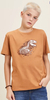 Conjunto Youccie Dino na internet