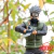Imagem do Kakashi Hatake - Naruto Shippuden