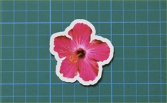 FLOR ROSA
