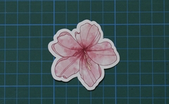 FLOR ROSA