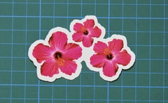 FLORES X 3