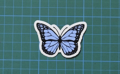 MARIPOSA CELESTE