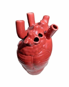 Florero Corazón Anatomico