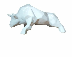 Toro Geométrico