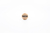 Wincent Baqueta Rock (W-ROCK) Hickory - loja online