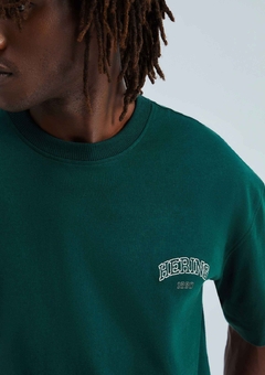Camiseta Hering - comprar online