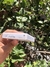 Cargador inalambrico Magsafe iPhone AAA+ en internet
