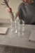 Dupla de Vasos em Vidro TUTTI HOME - comprar online