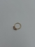 Septum