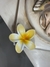 Broche hawaiano