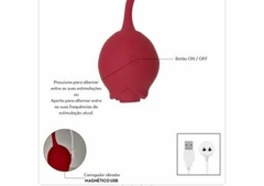 Vibrador ROSEBUD na internet