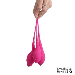 Lamboll