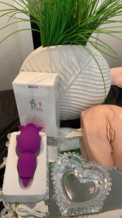 Vibrador de Clitóris com pulsação na internet
