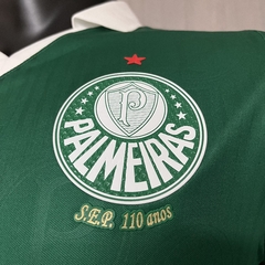 Palmeiras 24/25 - Versão Jogador na internet