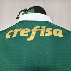 Palmeiras 24/25 - Versão Jogador na internet