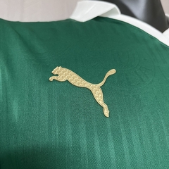 Imagem do Palmeiras 24/25 - Versão Jogador