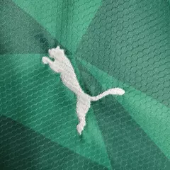Camisa Palmeiras 23/24 Feminina na internet