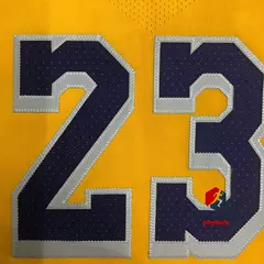 Camisa Lakers 23/24 Lebron James - loja online